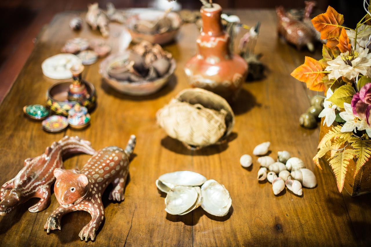 Aguas Do Pantanal Inn Pousada ミランダ エクステリア 写真